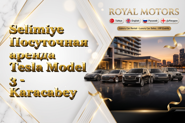 Selimiye Посуточная аренда Tesla Model 3 - Karacabey