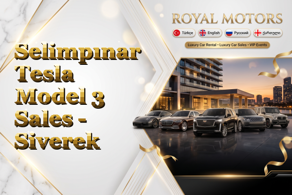 Selimpınar Tesla Model 3 Sales - Siverek