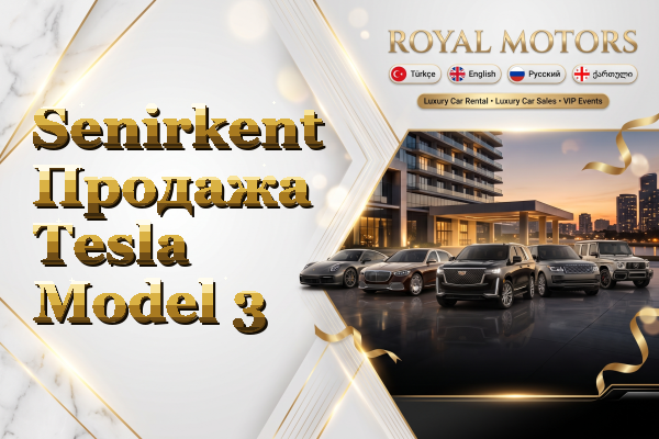 Senirkent Продажа Tesla Model 3