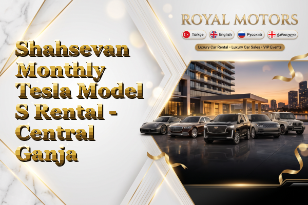 Shahsevan Monthly Tesla Model S Rental - Central Ganja