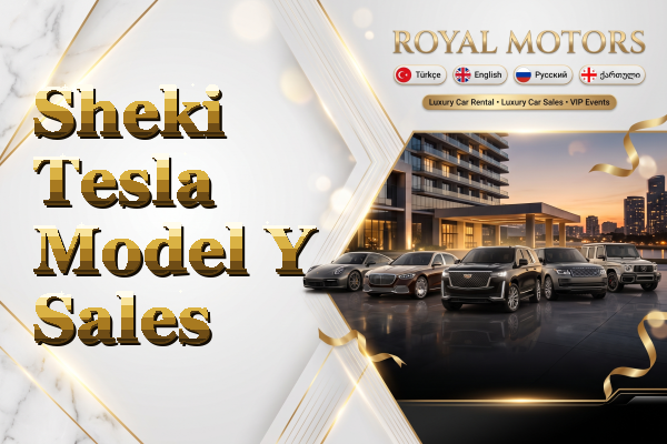 Sheki Tesla Model Y Sales