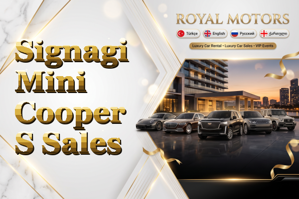 Signagi Mini Cooper S Sales