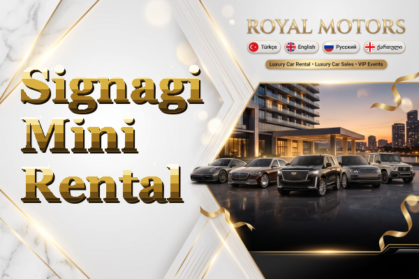 Signagi Mini Rental