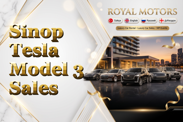 Sinop Tesla Model 3 Sales