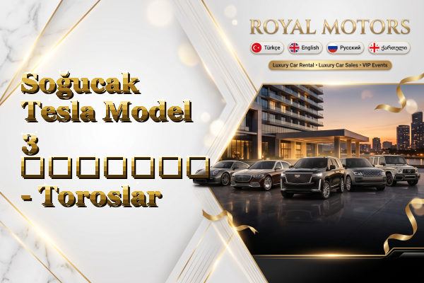 Soğucak Tesla Model 3 გაყიდვა - Toroslar