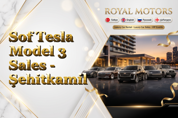 Sof Tesla Model 3 Sales - Şehitkamil