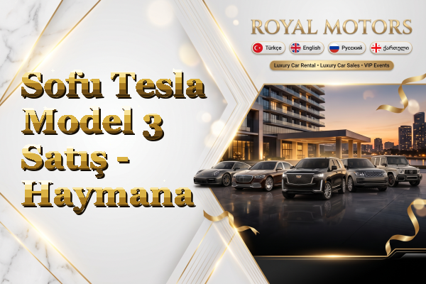 Sofu Tesla Model 3 Satış - Haymana