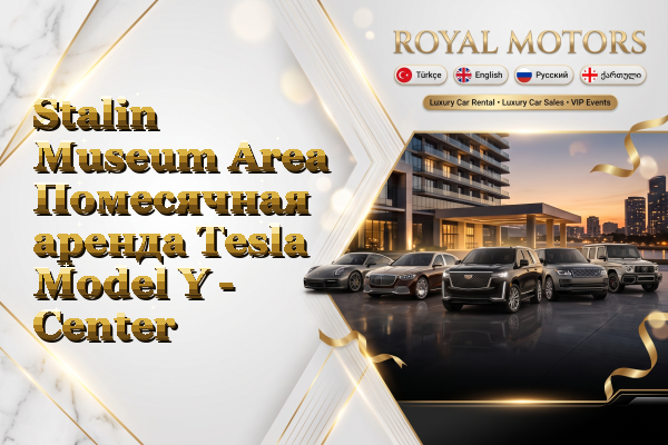 Stalin Museum Area Помесячная аренда Tesla Model Y - Center