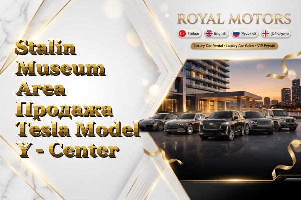 Stalin Museum Area Продажа Tesla Model Y - Center