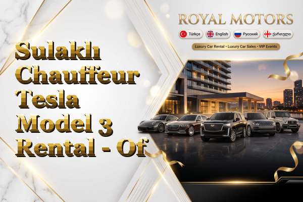 Sulaklı Chauffeur Tesla Model 3 Rental - Of