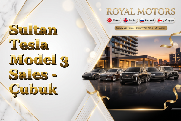 Sultan Tesla Model 3 Sales - Çubuk