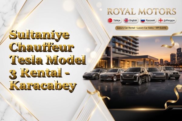 Sultaniye Chauffeur Tesla Model 3 Rental - Karacabey