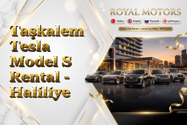 Taşkalem Tesla Model S Rental - Haliliye
