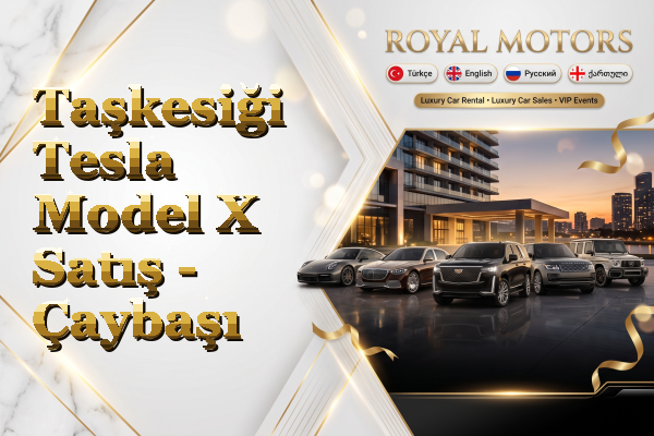 Taşkesiği Tesla Model X Satış - Çaybaşı