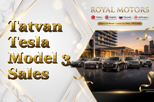 Tatvan Tesla Model 3 Sales