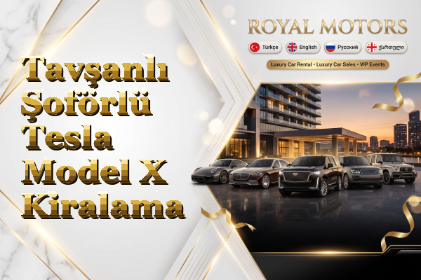 Tavşanlı Şoförlü Tesla Model X Kiralama