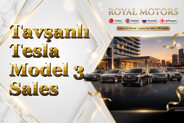 Tavşanlı Tesla Model 3 Sales