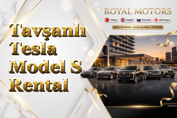 Tavşanlı Tesla Model S Rental