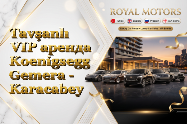 Tavşanlı VIP аренда Koenigsegg Gemera - Karacabey
