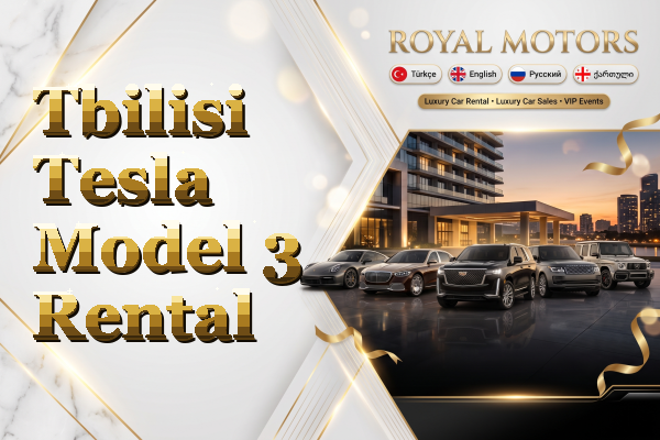 Tbilisi Tesla Model 3 Rental