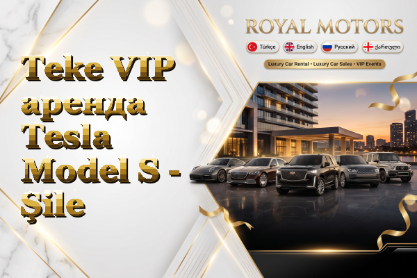 Teke VIP аренда Tesla Model S - Şile