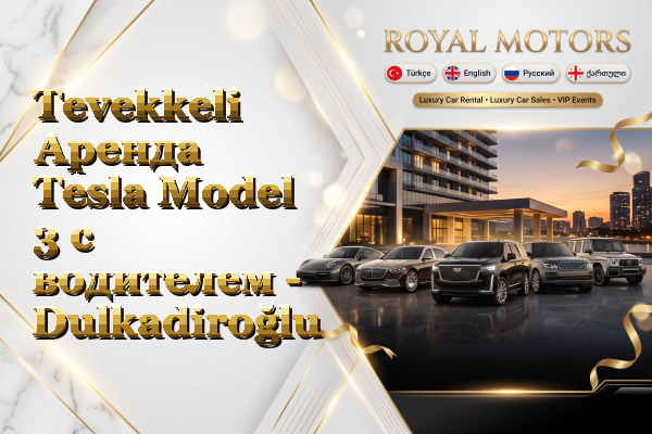 Tevekkeli Аренда Tesla Model 3 с водителем - Dulkadiroğlu