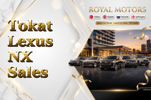 Tokat Lexus NX Sales