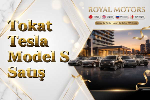 Tokat Tesla Model S Satış
