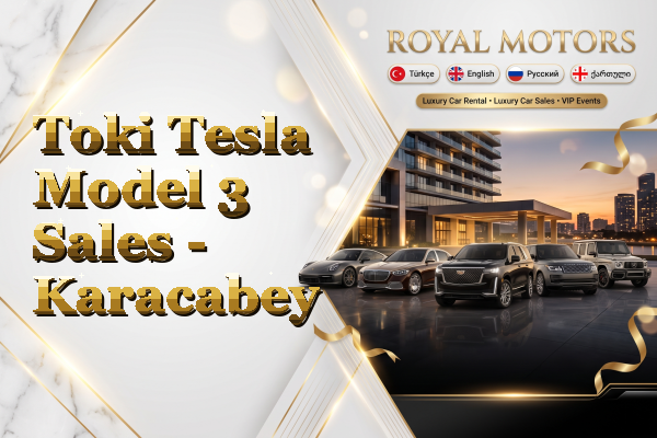 Toki Tesla Model 3 Sales - Karacabey