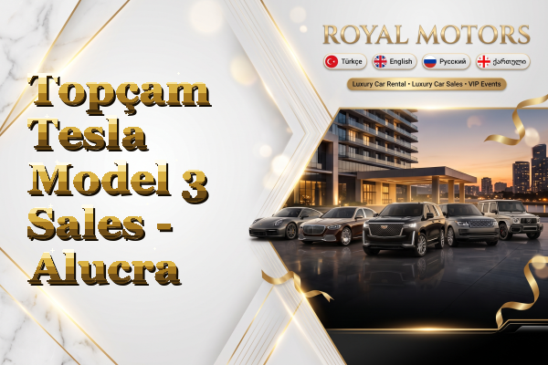 Topçam Tesla Model 3 Sales - Alucra
