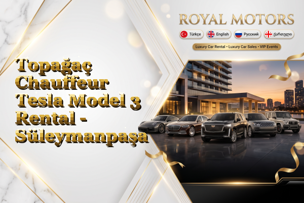 Topağaç Chauffeur Tesla Model 3 Rental - Süleymanpaşa