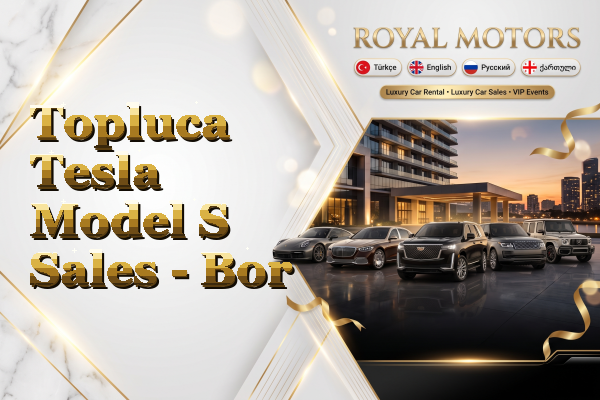 Topluca Tesla Model S Sales - Bor