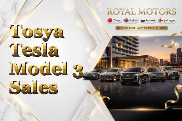 Tosya Tesla Model 3 Sales