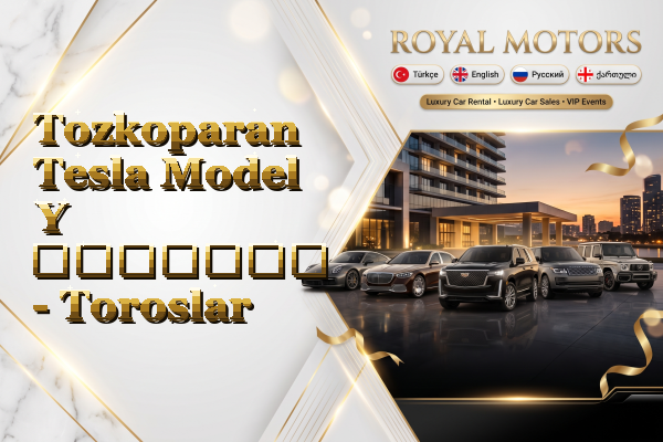 Tozkoparan Tesla Model Y გაყიდვა - Toroslar