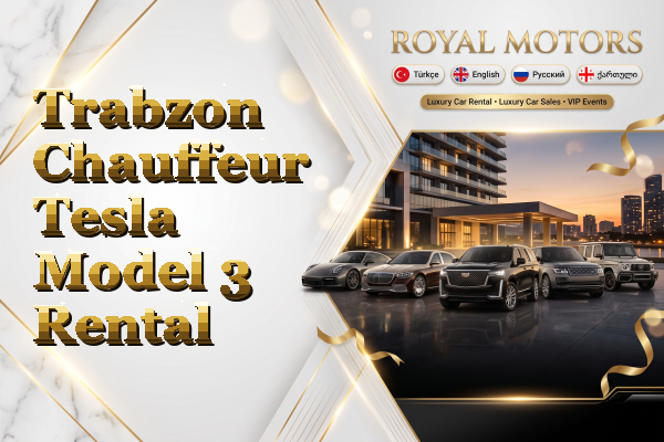 Trabzon Chauffeur Tesla Model 3 Rental