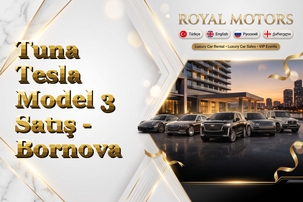 Tuna Tesla Model 3 Satış - Bornova