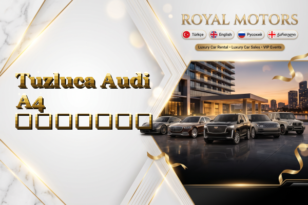Tuzluca Audi A4 გაყიდვა