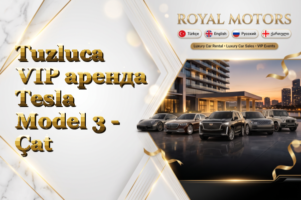 Tuzluca VIP аренда Tesla Model 3 - Çat