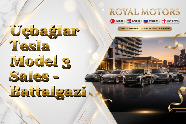 Uçbağlar Tesla Model 3 Sales - Battalgazi