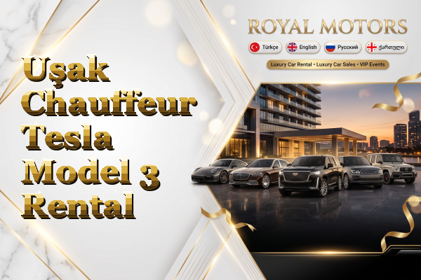 Uşak Chauffeur Tesla Model 3 Rental