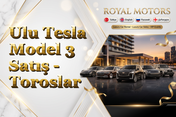 Ulu Tesla Model 3 Satış - Toroslar