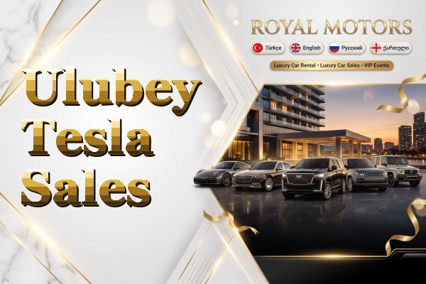 Ulubey Tesla Sales