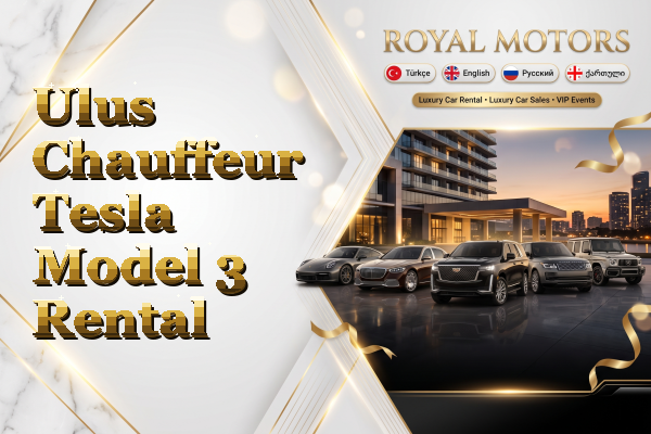 Ulus Chauffeur Tesla Model 3 Rental