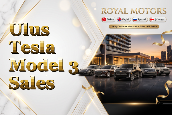 Ulus Tesla Model 3 Sales