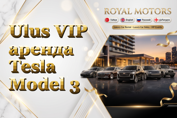 Ulus VIP аренда Tesla Model 3