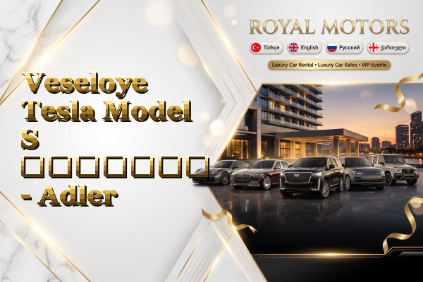 Veseloye Tesla Model S გაყიდვა - Adler