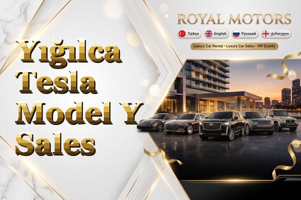 Yığılca Tesla Model Y Sales