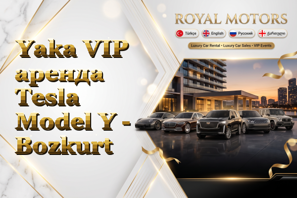 Yaka VIP аренда Tesla Model Y - Bozkurt
