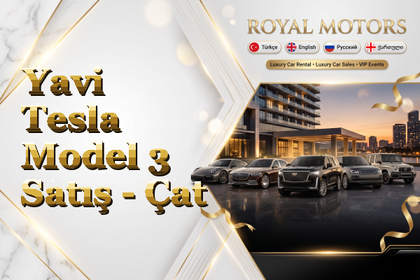 Yavi Tesla Model 3 Satış - Çat