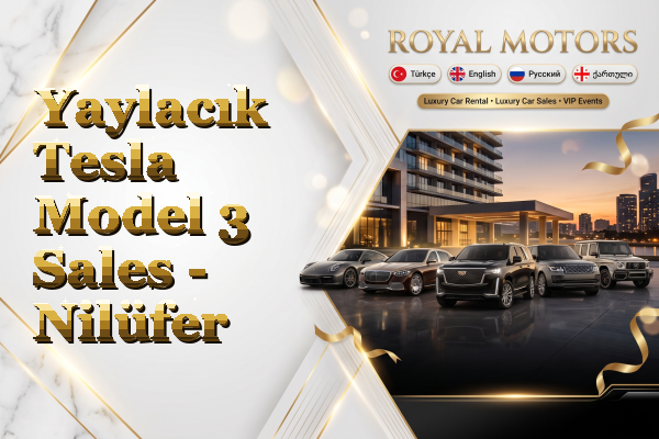 Yaylacık Tesla Model 3 Sales - Nilüfer
